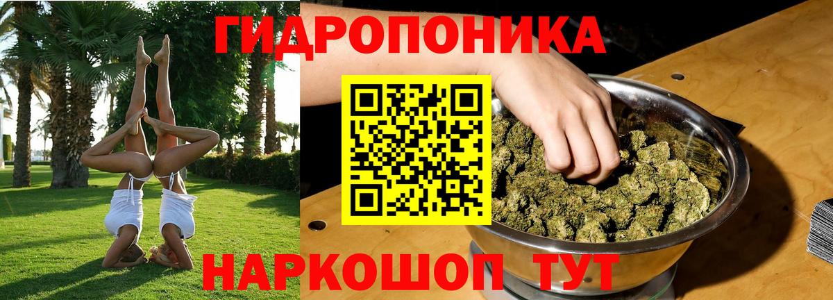 Узловая  Бошки марихуана индика  Бошки Шишки LSD WEED  Каннабис индика  Вход с VPN  Бошки Шишки план 